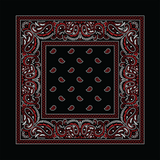 Rx Paisley Bandana - Black