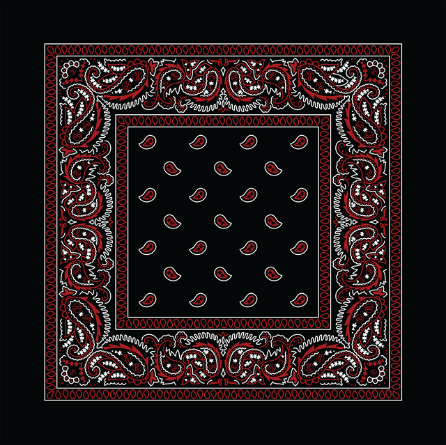 Rx Paisley Bandana - Black