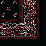 Rx Paisley Bandana - Black