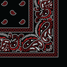 Load image into Gallery viewer, Rx Paisley Bandana - Black