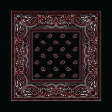 Load image into Gallery viewer, Rx Paisley Bandana - Black