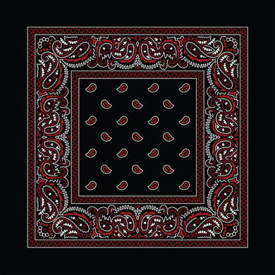 Rx Paisley Bandana - Black