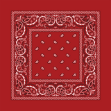 Rx Paisley Bandana - Red