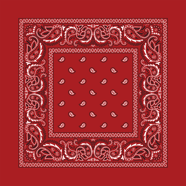 Rx Paisley Bandana - Red