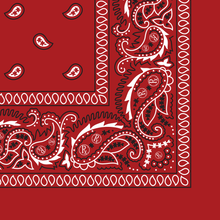 Load image into Gallery viewer, Rx Paisley Bandana - Red