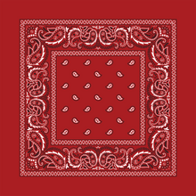 Load image into Gallery viewer, Rx Paisley Bandana - Red