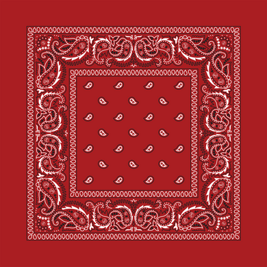 Rx Paisley Bandana - Red